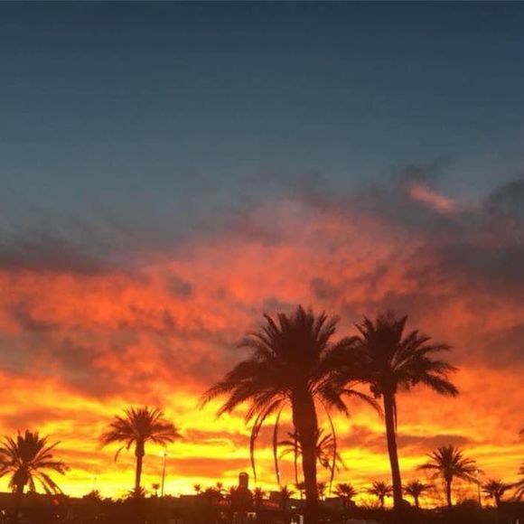 Meet your Posher, Patty - Picture 1 of 1